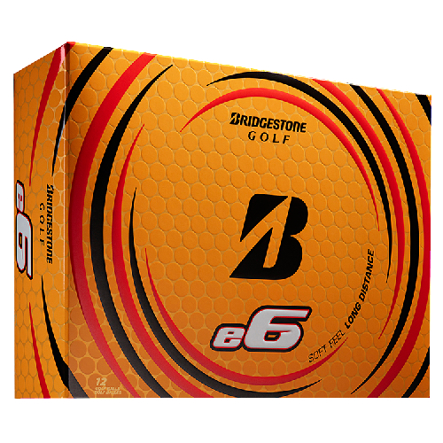 Bridgestone 2021 e6 (Below Minimum)*