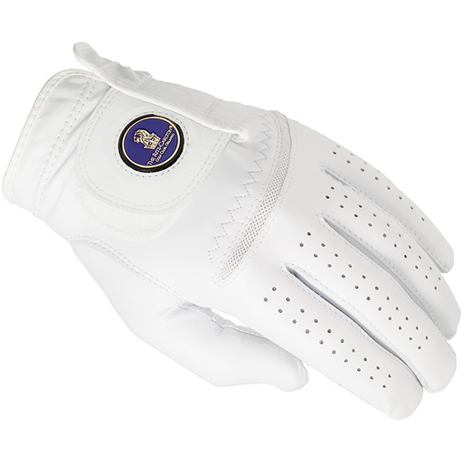 Titleist Q Mark Glove With Hand Painted Ball Marker*