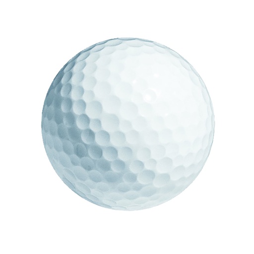 Bulk Generic Golf Balls*