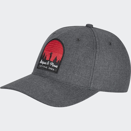 adidas High Crown Stripes and Pines Hat*